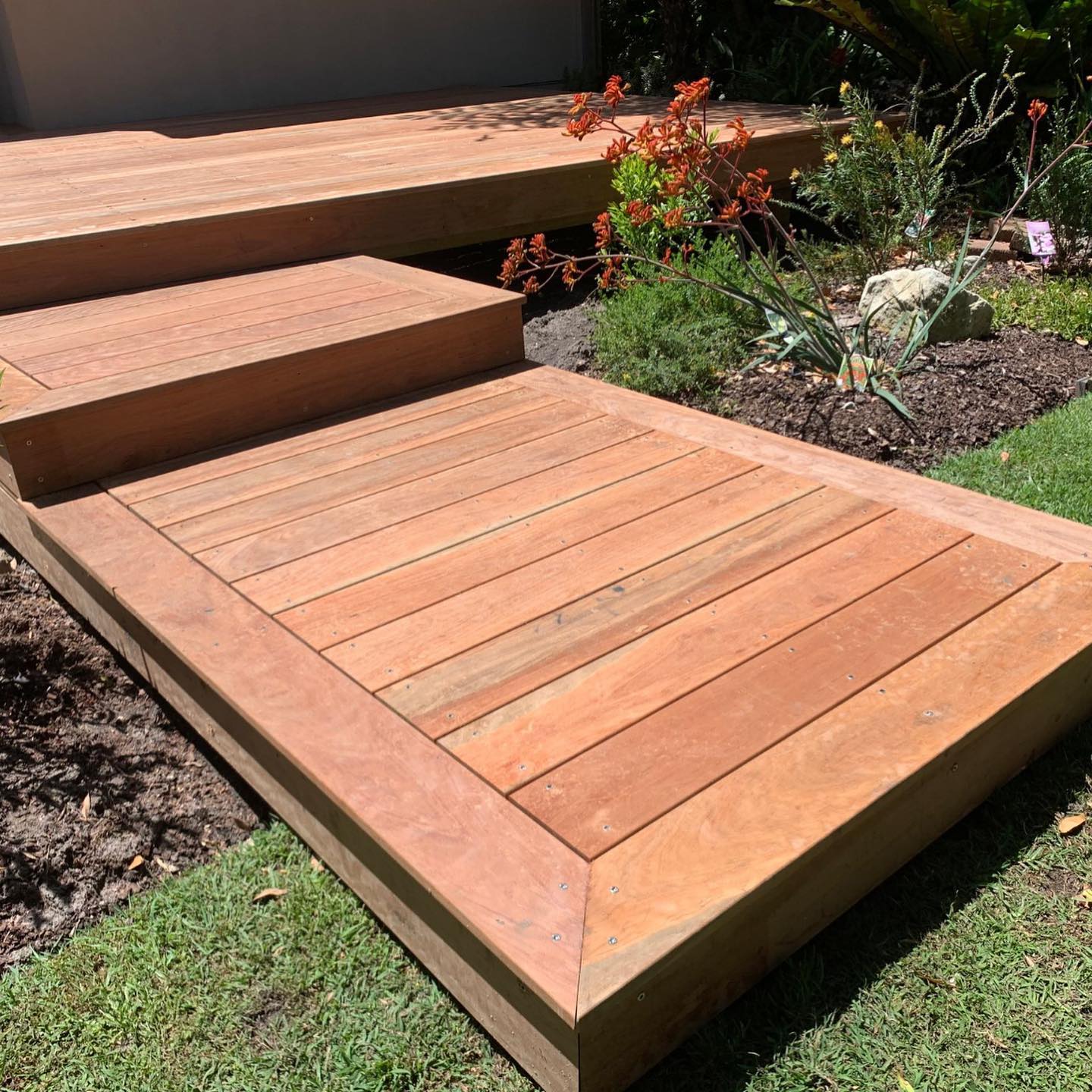 Newly built Ironbark timber deck with native kangaroo paw garden bed
