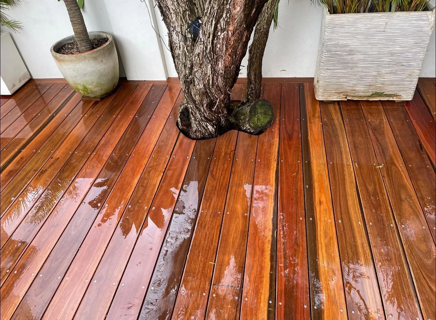Spotted Gum Hardwood Decking