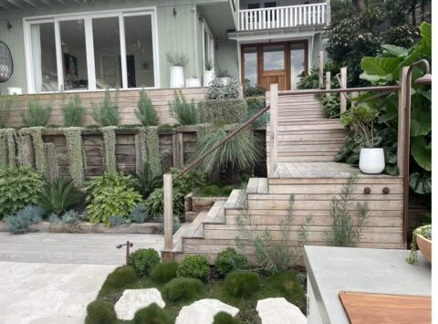 Multi-level landscaped garden with timber steps and retaining walls, Bronte