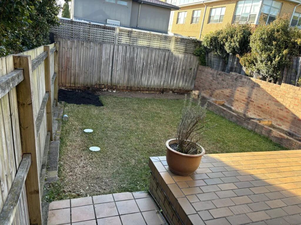 Dover Heights backyard before work, tired timber paling fence and brick retaining wall